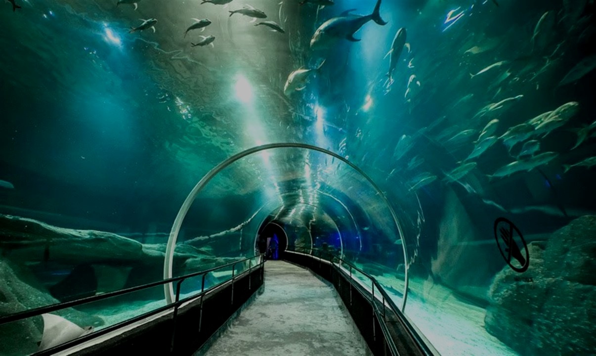 Túnel de aquário